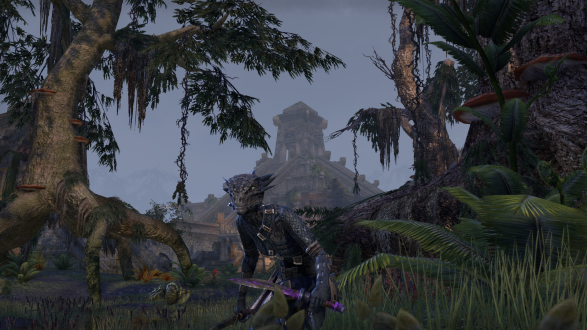 För rösta gången i Elder Scrolls-serien kan spelare besöka utkanterna och Black Marsh, ett lika dödligt som vackert träsk.